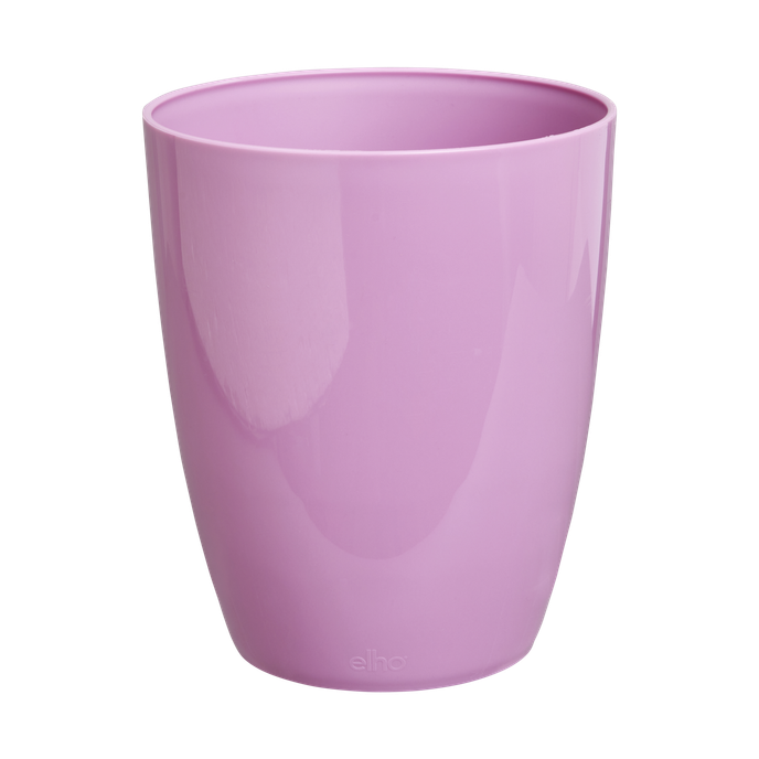 brussels diamond orchidée haut 12,5cm violet vif